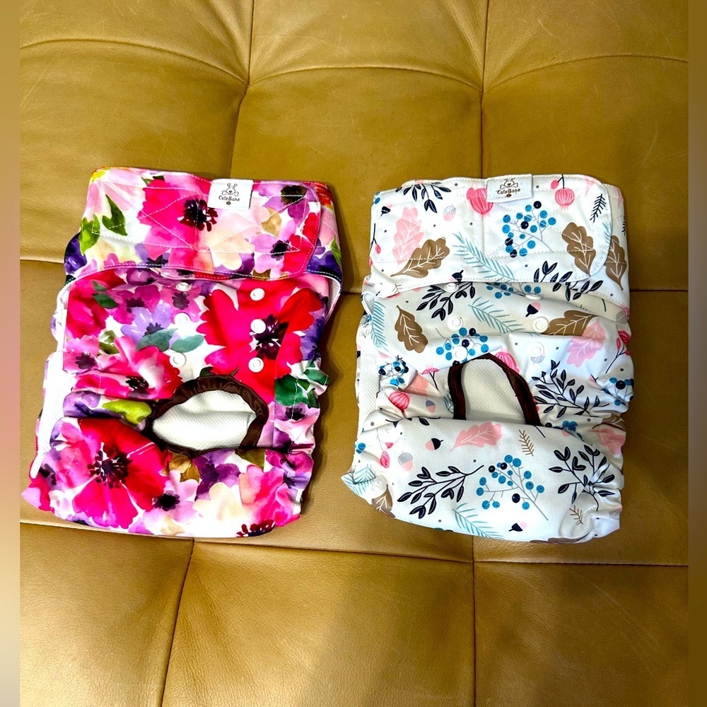 2 Large size diapers for Dog never worn.